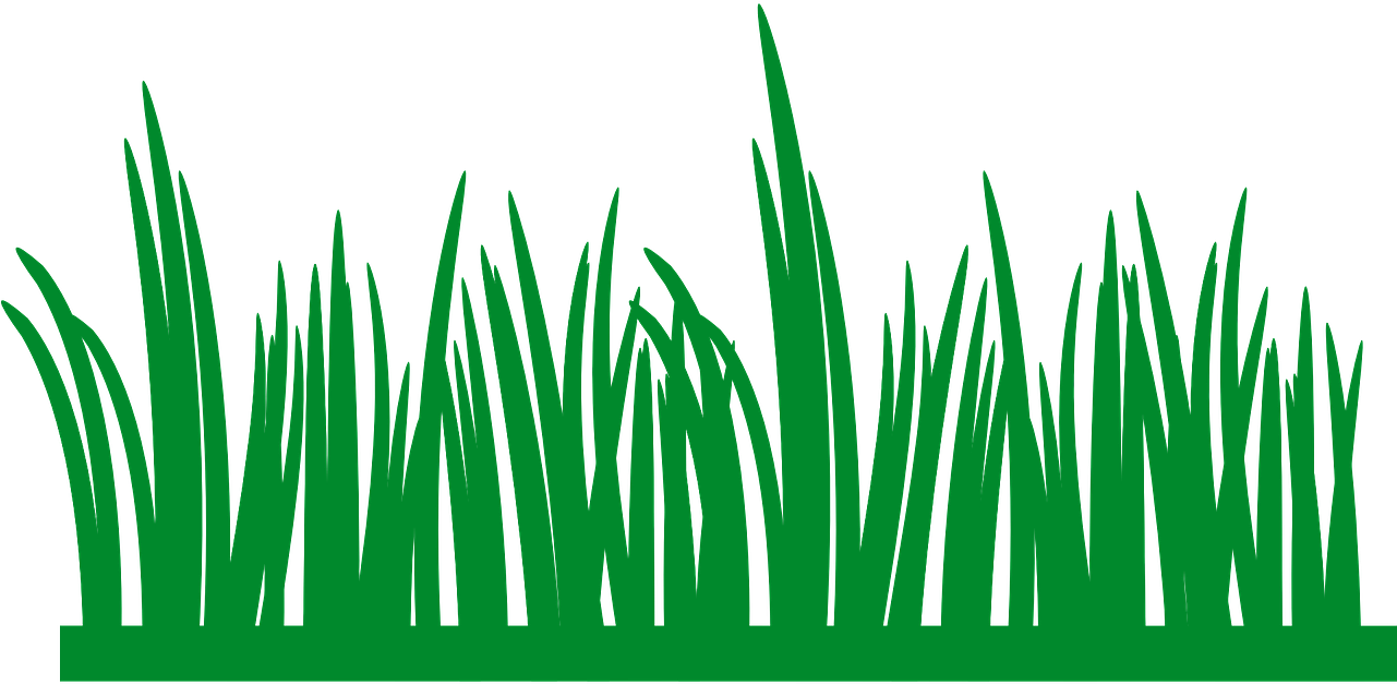 Green Grass Silhouette