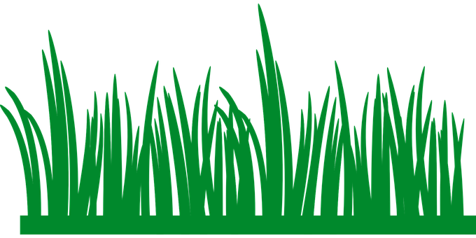 Green Grass Silhouette Vector