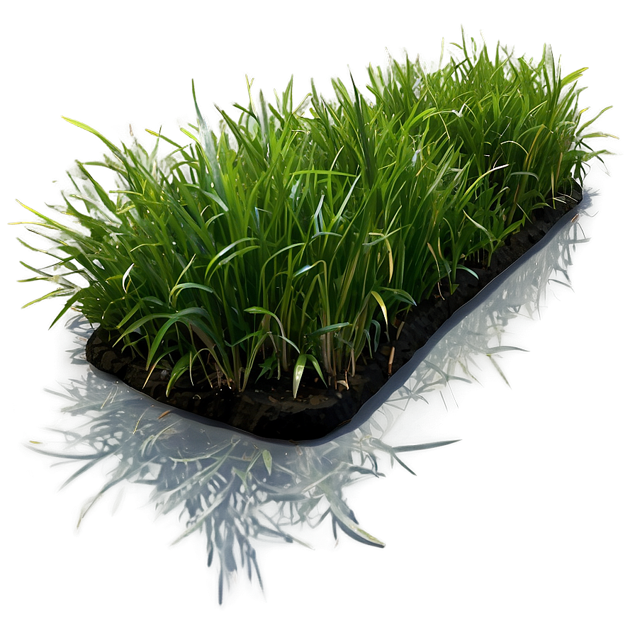 Green Grass Underfoot Png 65