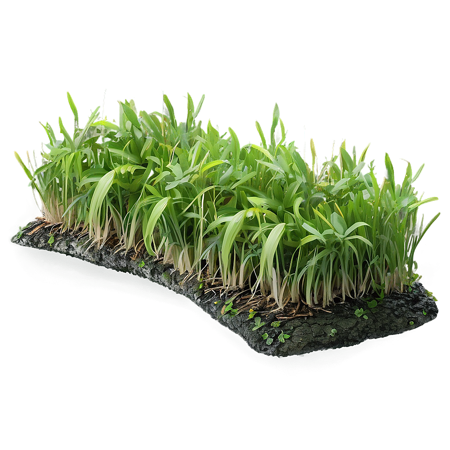 Green Grass Underfoot Png Hau43