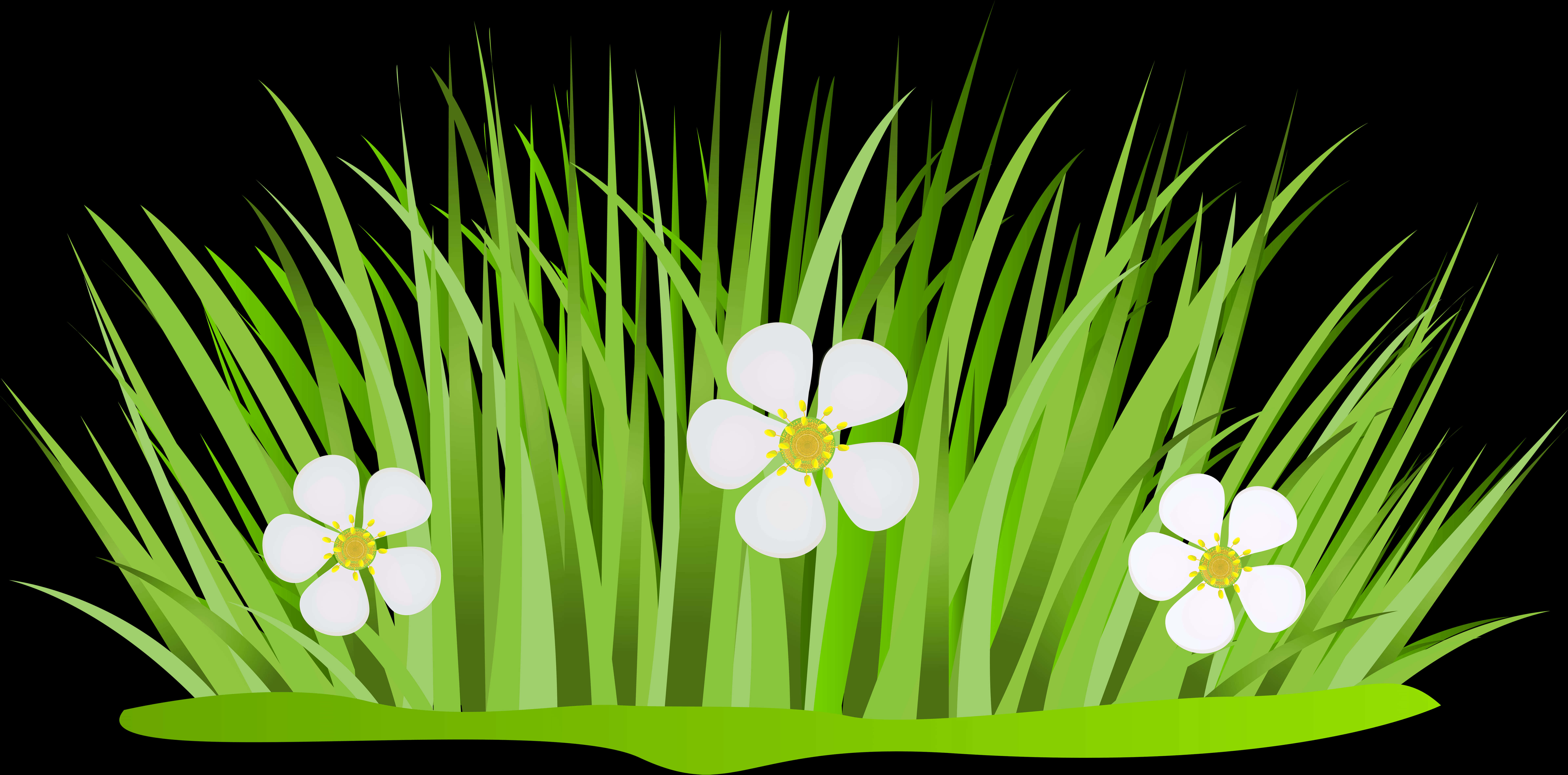 Green Grass White Flowers Vector