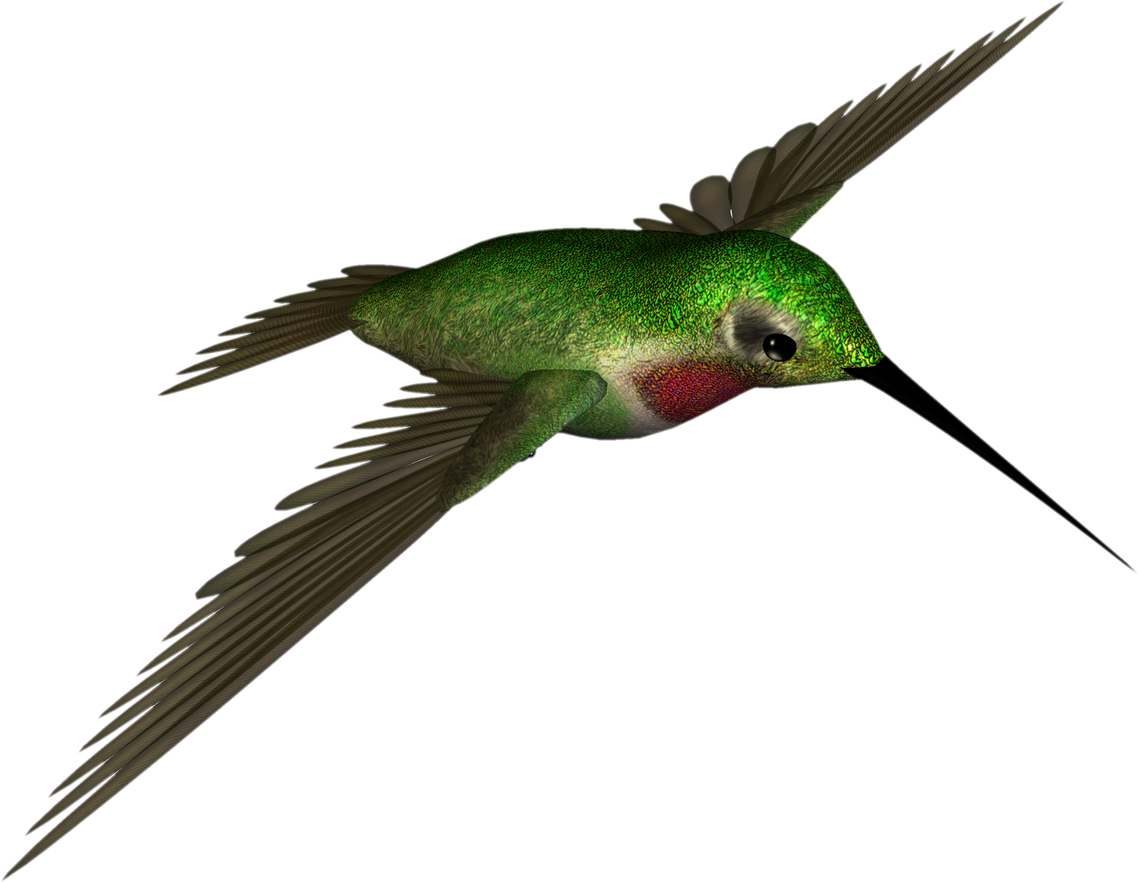 Green Hummingbird In Flight.png