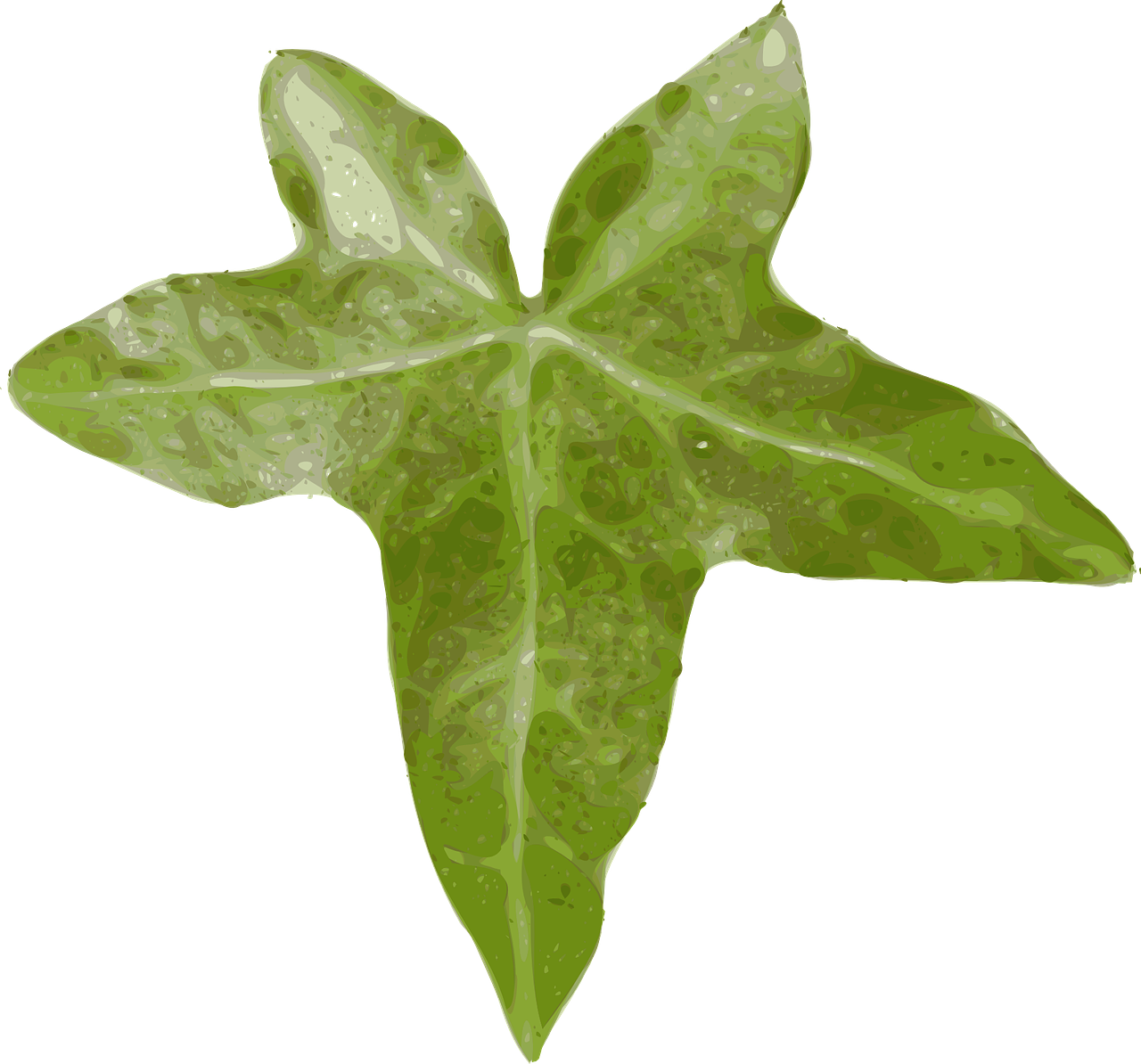 Green Ivy Leaf Illustration