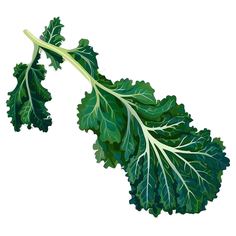 Green Kale Leaf Png 06252024