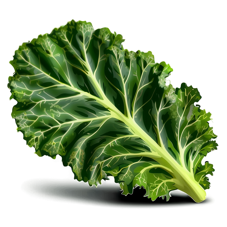 Green Kale Leaf Png Dji