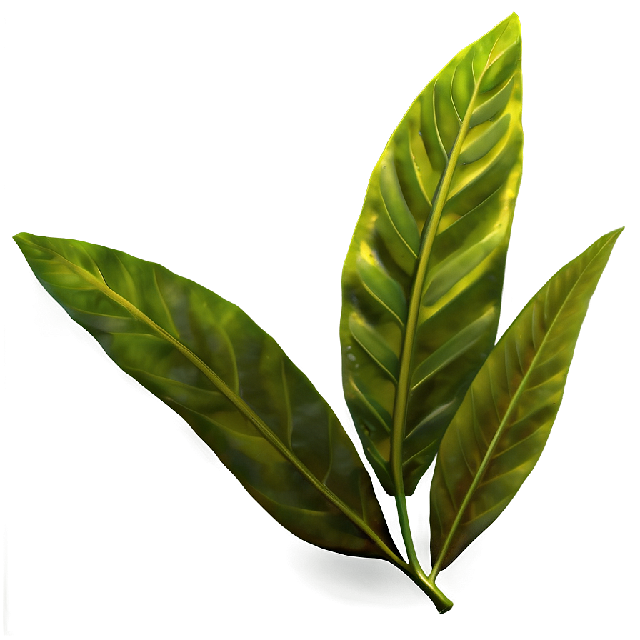 Green Laurel Leaves Png 06262024