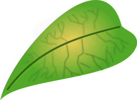 Green Leaf Digital Artwork