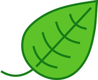 Green Leaf Graphic