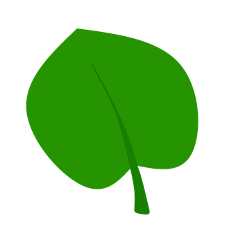 Green Leaf Graphicon Black Background