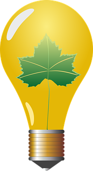 Green Leaf In Lightbulb Illustration