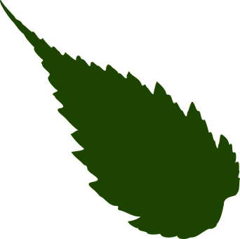 Green Leaf Silhouette