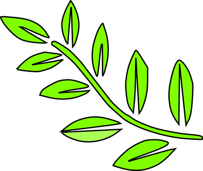 Green Leaf Vector Art