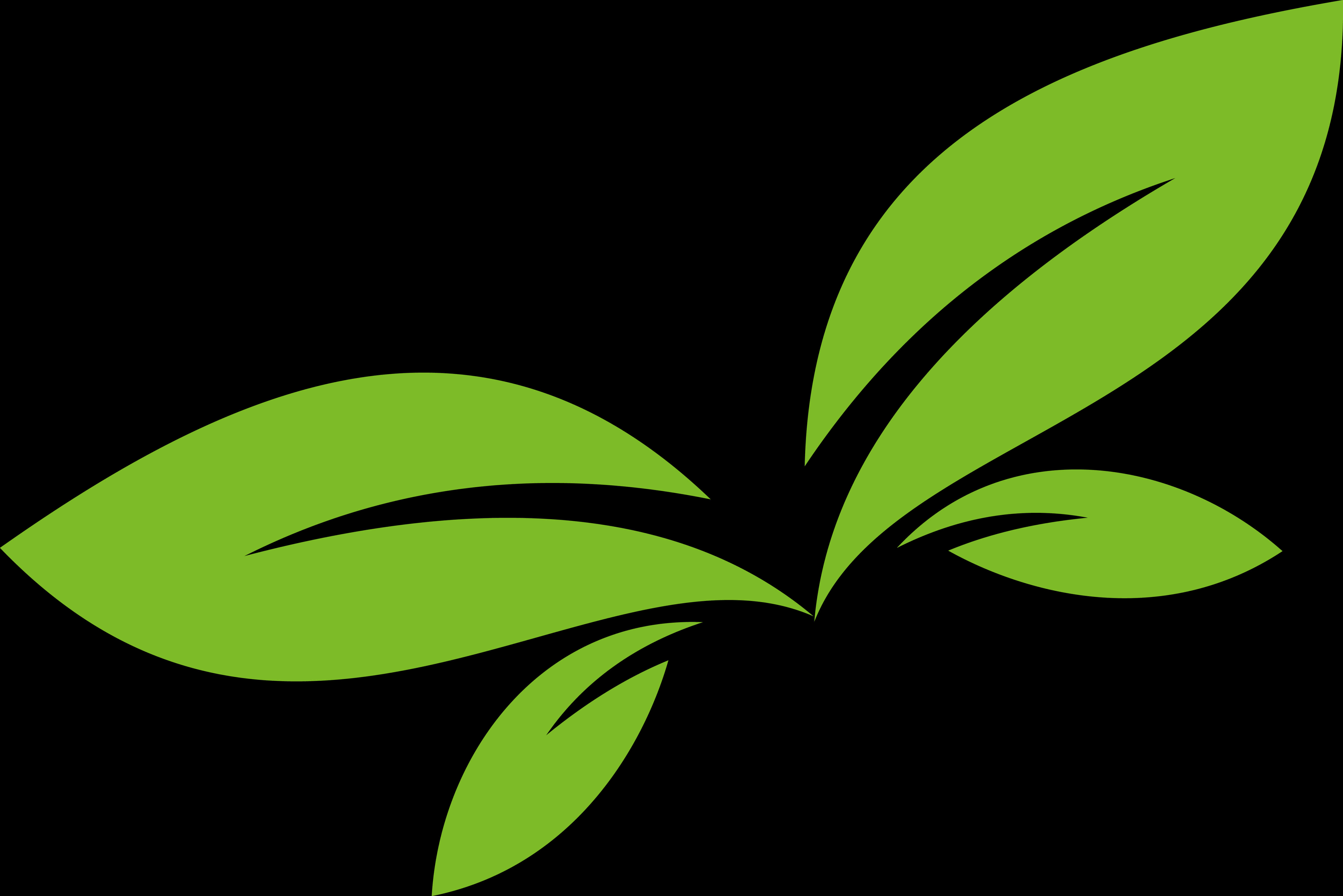 Green Leaf Vector Art