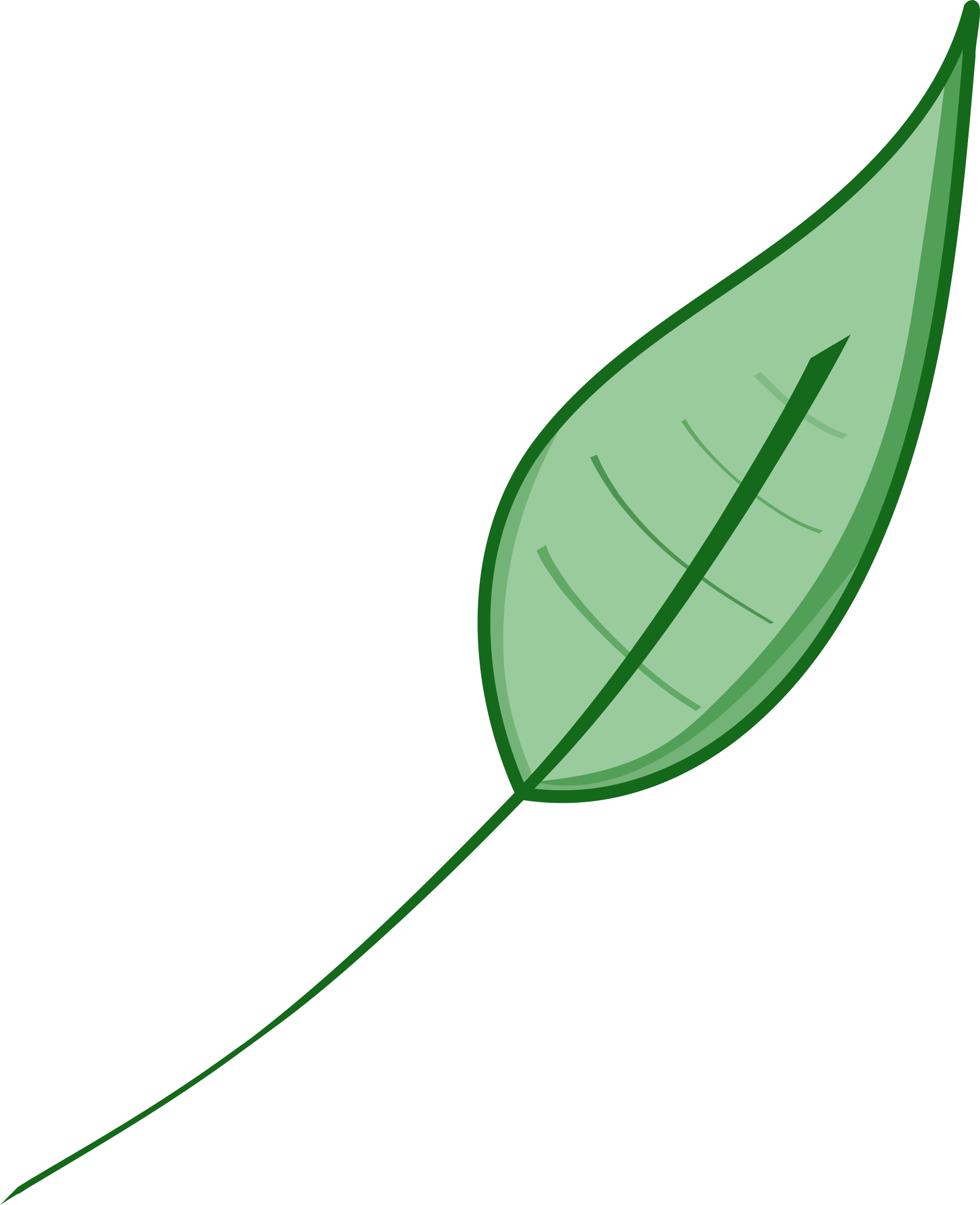 Green Leaf Vector Illustration