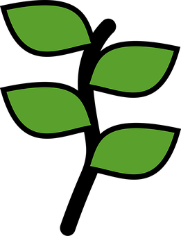 Green Leaves Icon