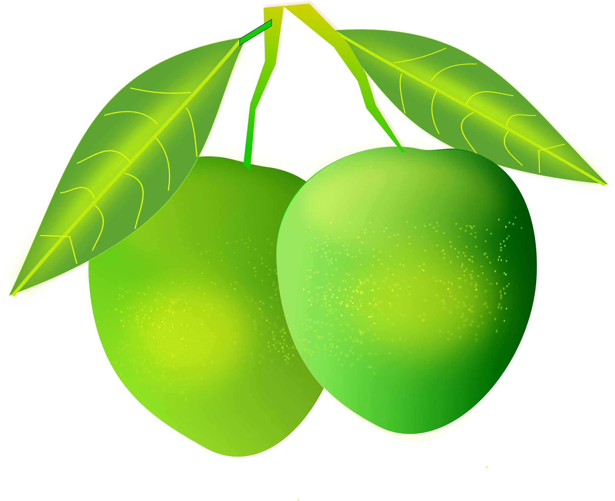 Green Mangoes With Leaves