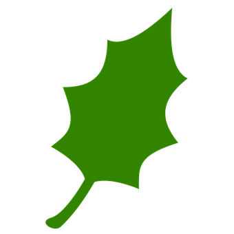 Green Maple Leaf Icon