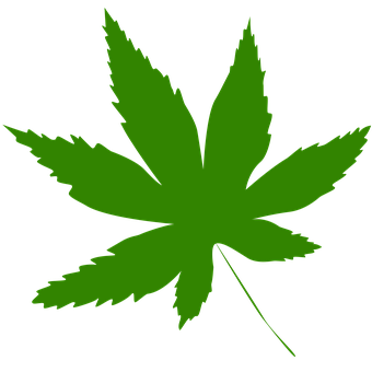 Green Maple Leaf Icon