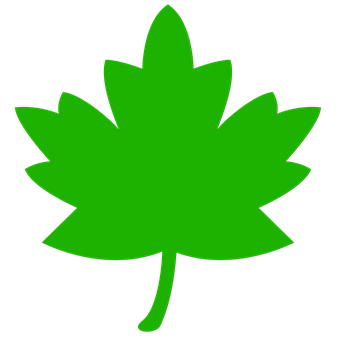 Green Maple Leaf Icon