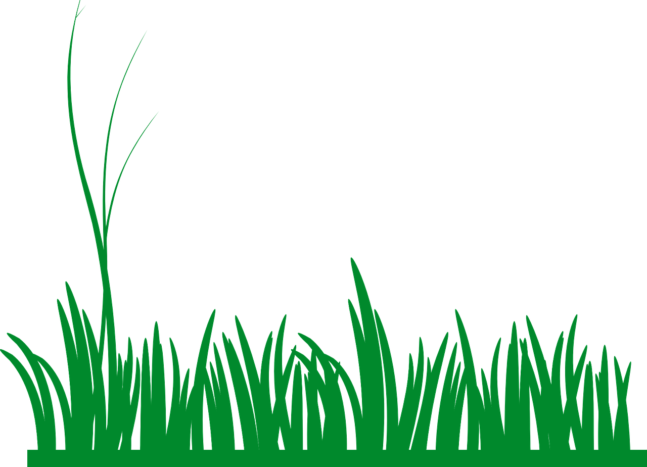 Green Meadow Grass Silhouette