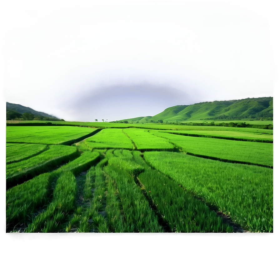 Green Mesa Fields Png Bef