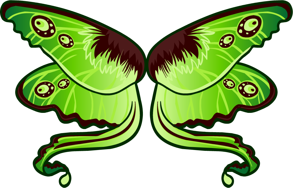 Green Moth Illustration