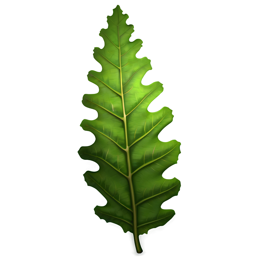 Green Oak Leaf Graphic Png 06292024