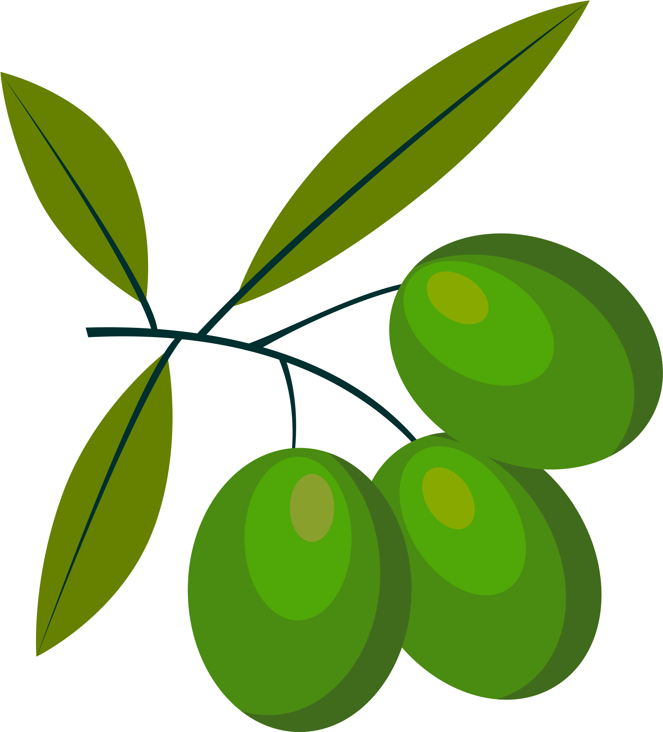 Green Olives Branch Vector