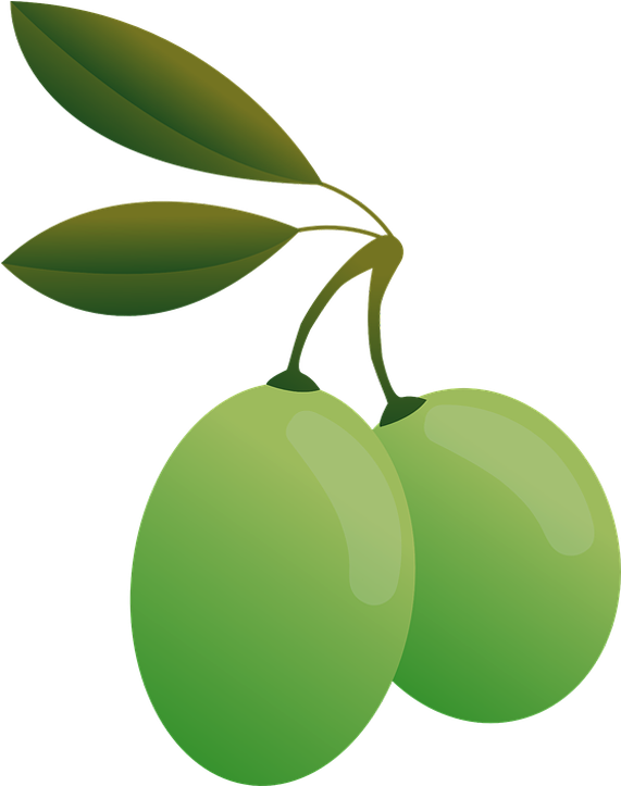 Green Olives Illustration