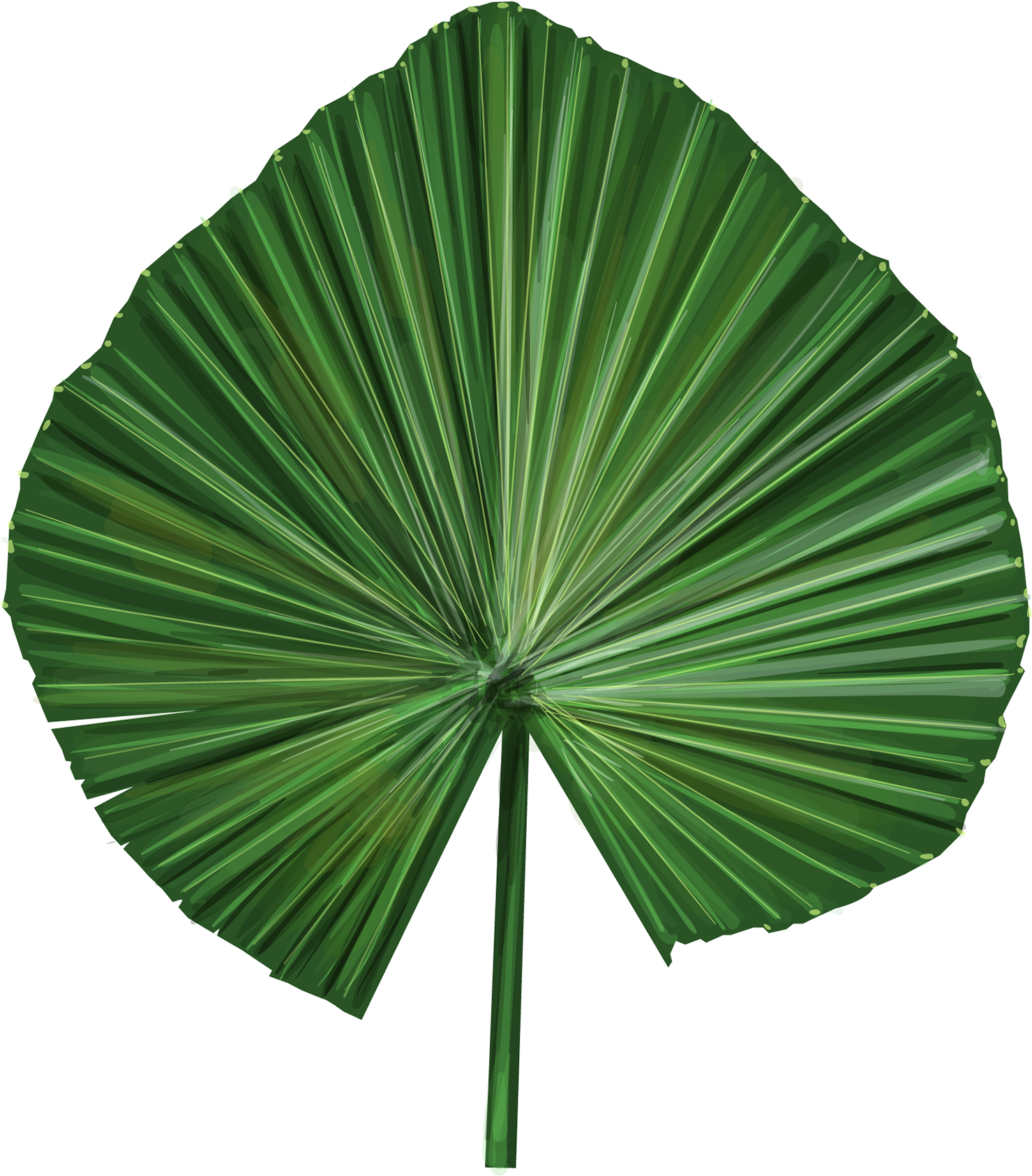 Green Palm Leaf Fan Shape