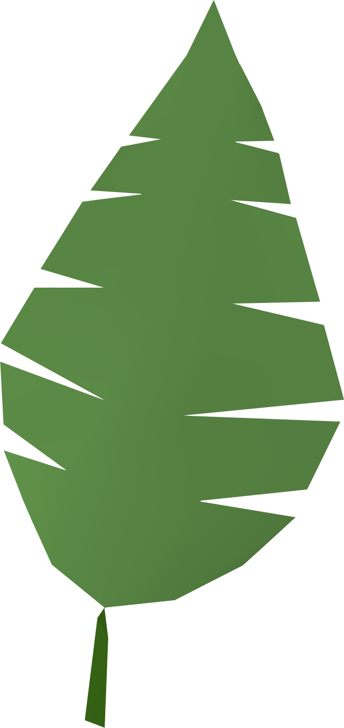 Green Palm Leaf Graphic