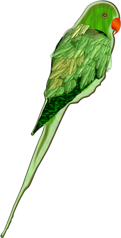 Green Parrot Illustration.png