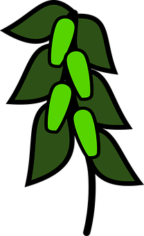 Green Peapod Icon