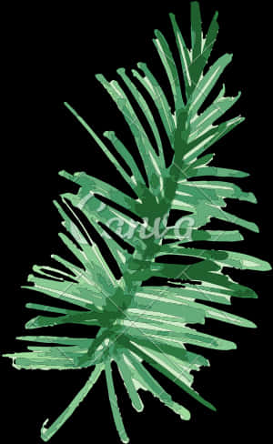 Green Pine Branches Illustration