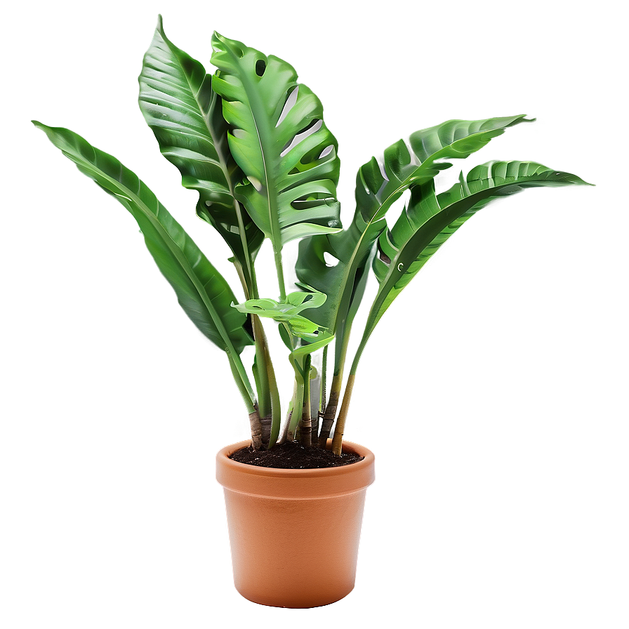 Green Plant Png 05032024