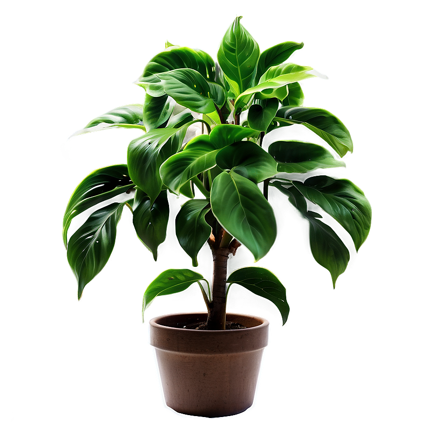 Green Plant Png Pid89