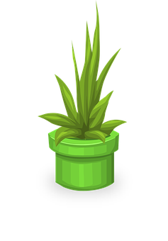 Green Potted Plant Illustration