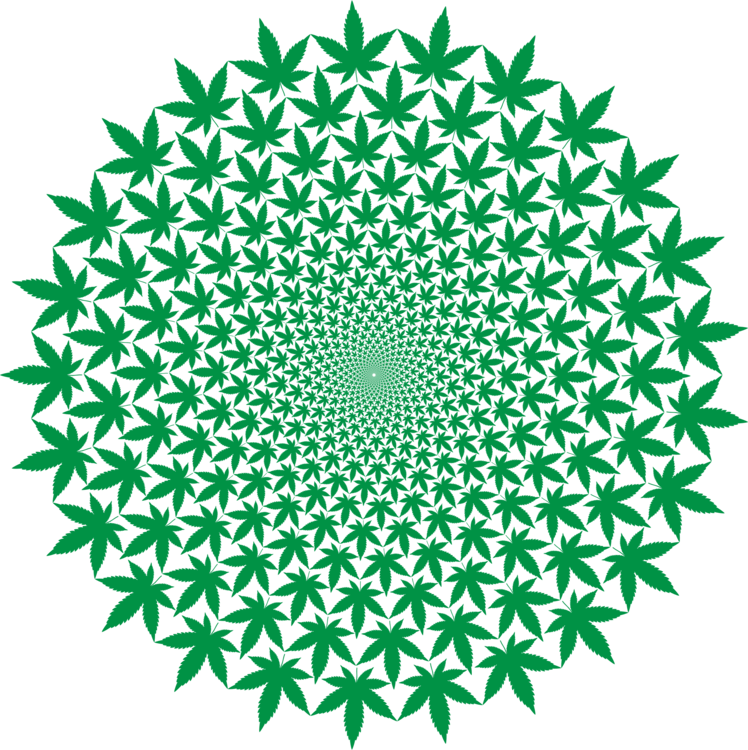 Green Starburst Pattern