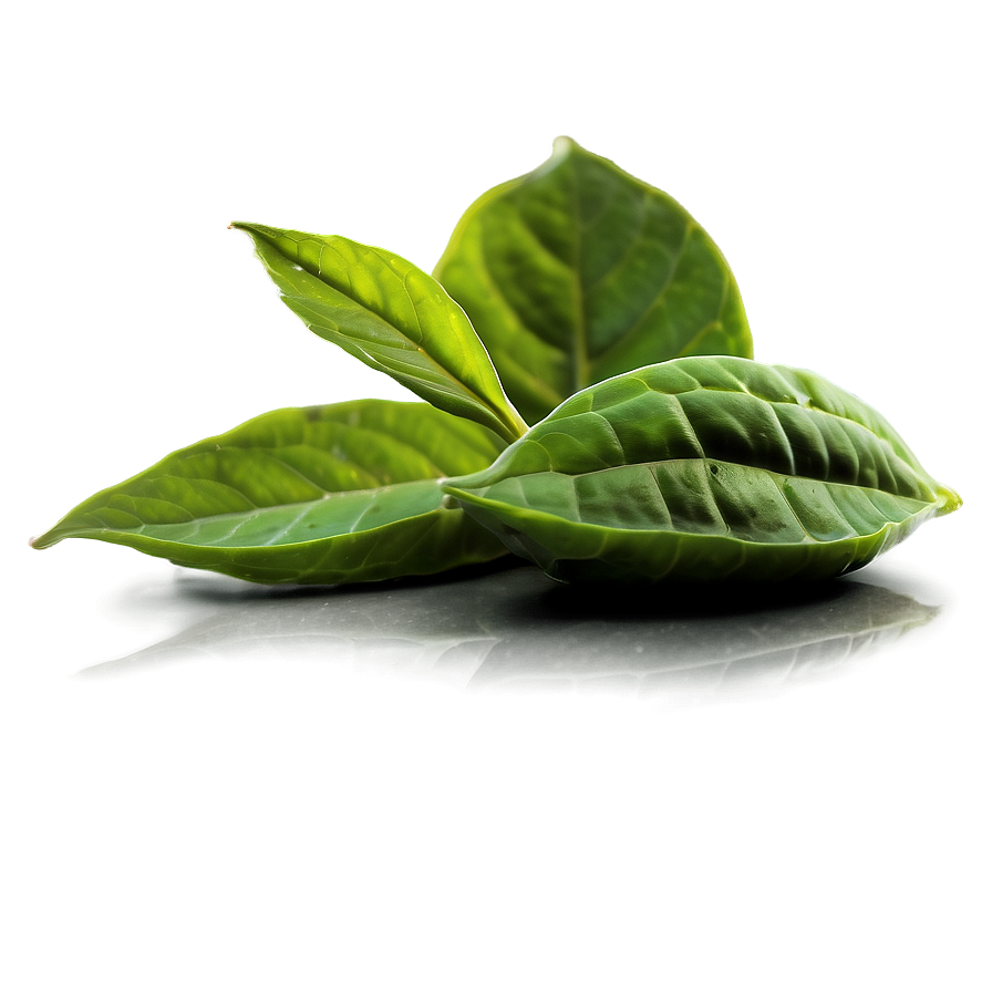 Green Tea Aromatherapy Oil Png Qyu30