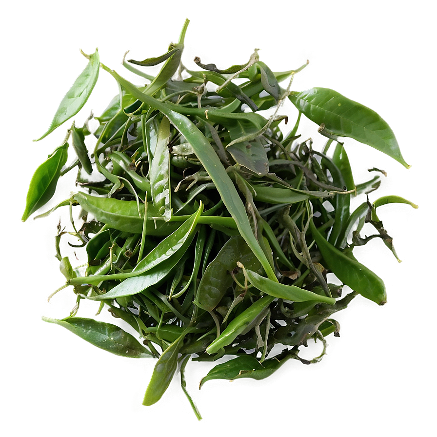 Green Tea Leaves Png Qmv14