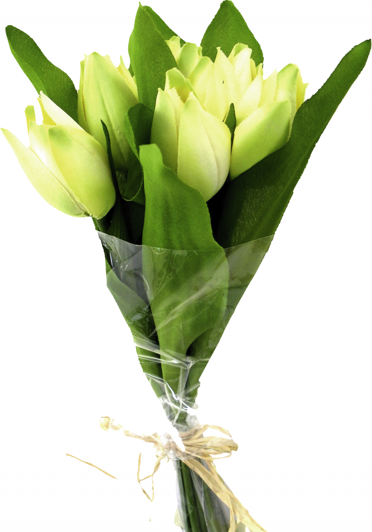 Green Tulip Bouquet