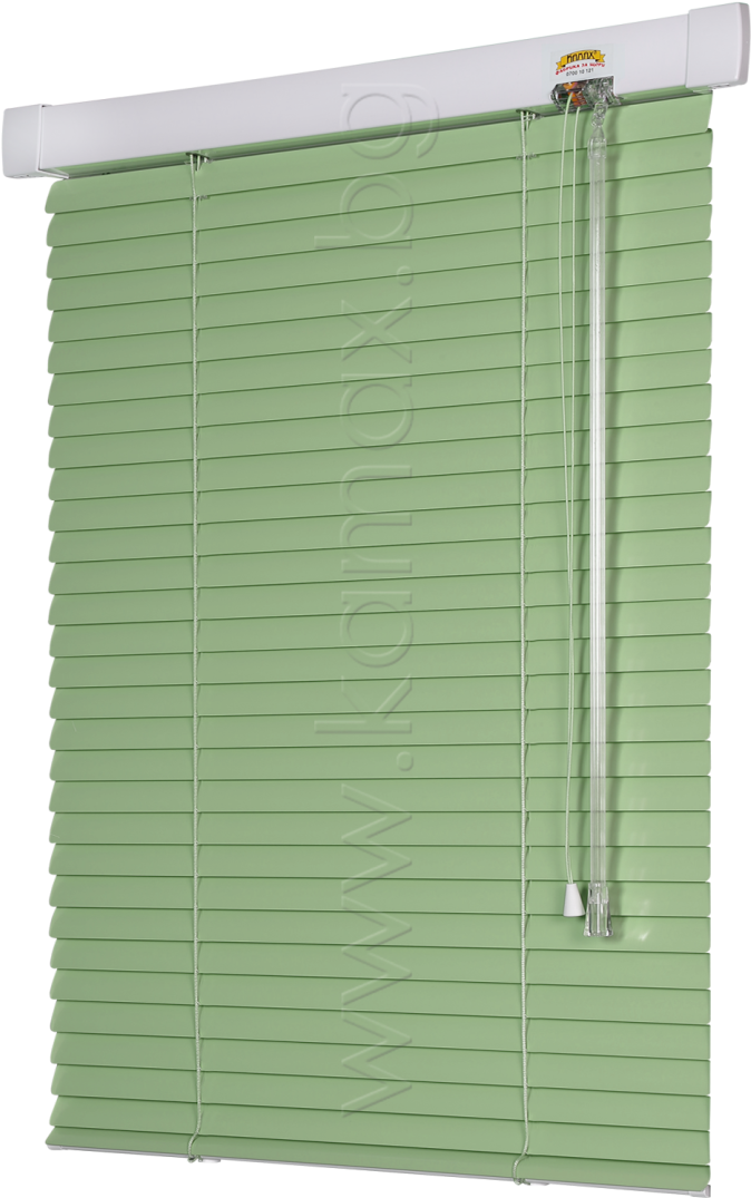 Green Venetian Blind