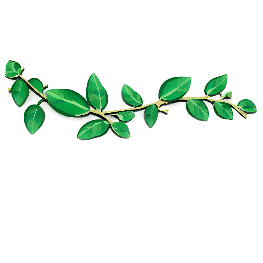 Green Vine Branch Illustration