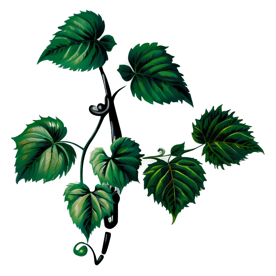 Green Vine Leaves Illustration