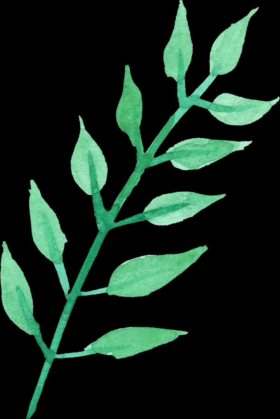 Green Watercolor Plant Illustration