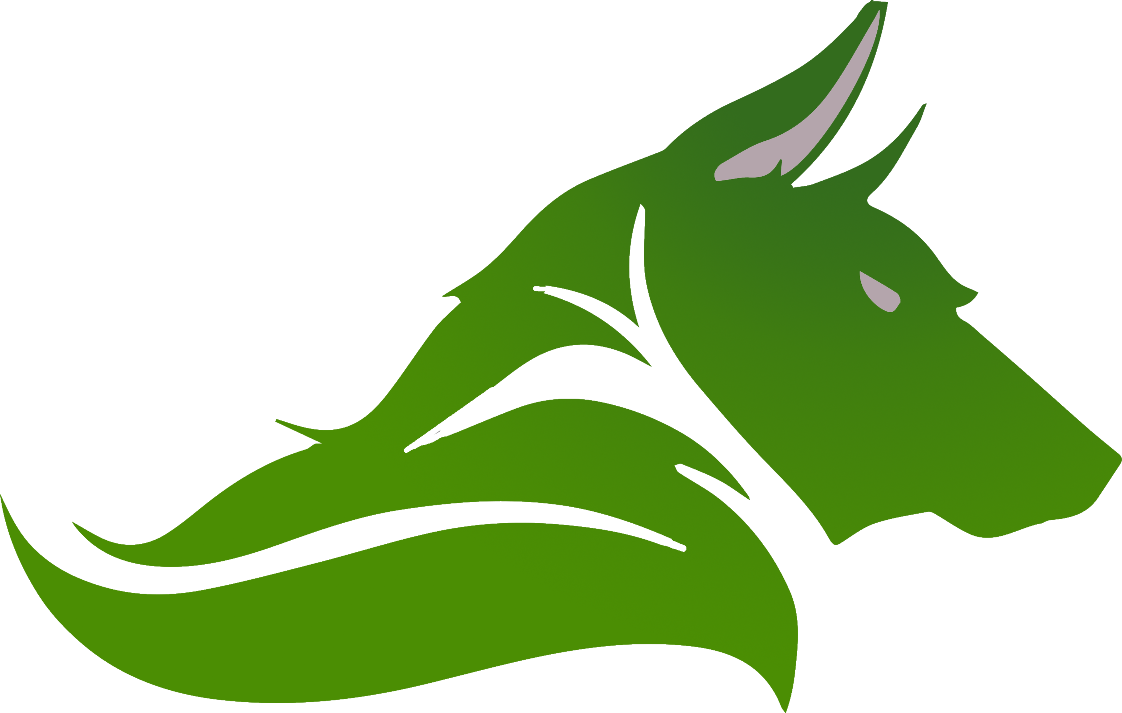 Green Wolf Logo Graphic