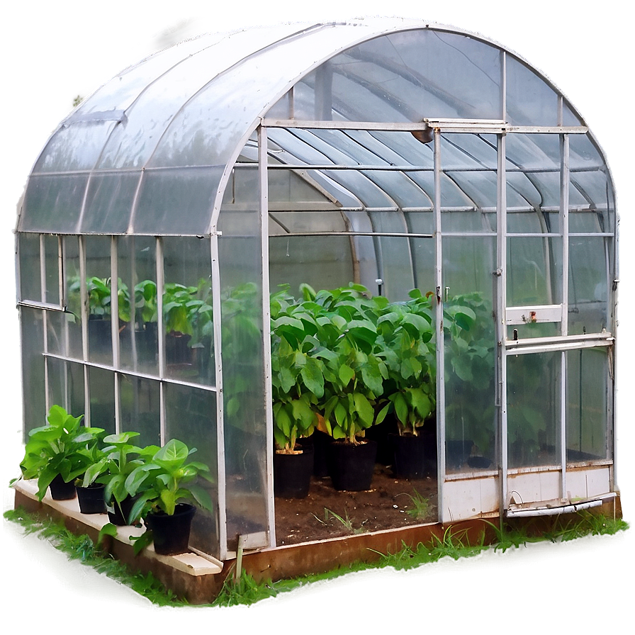 Greenhouse Farming Techniques Png 84