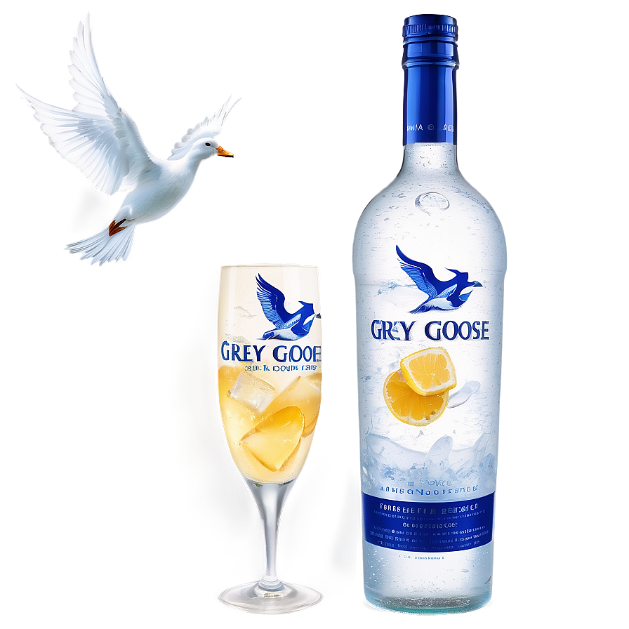 Grey Goose On Ice Png Lkw