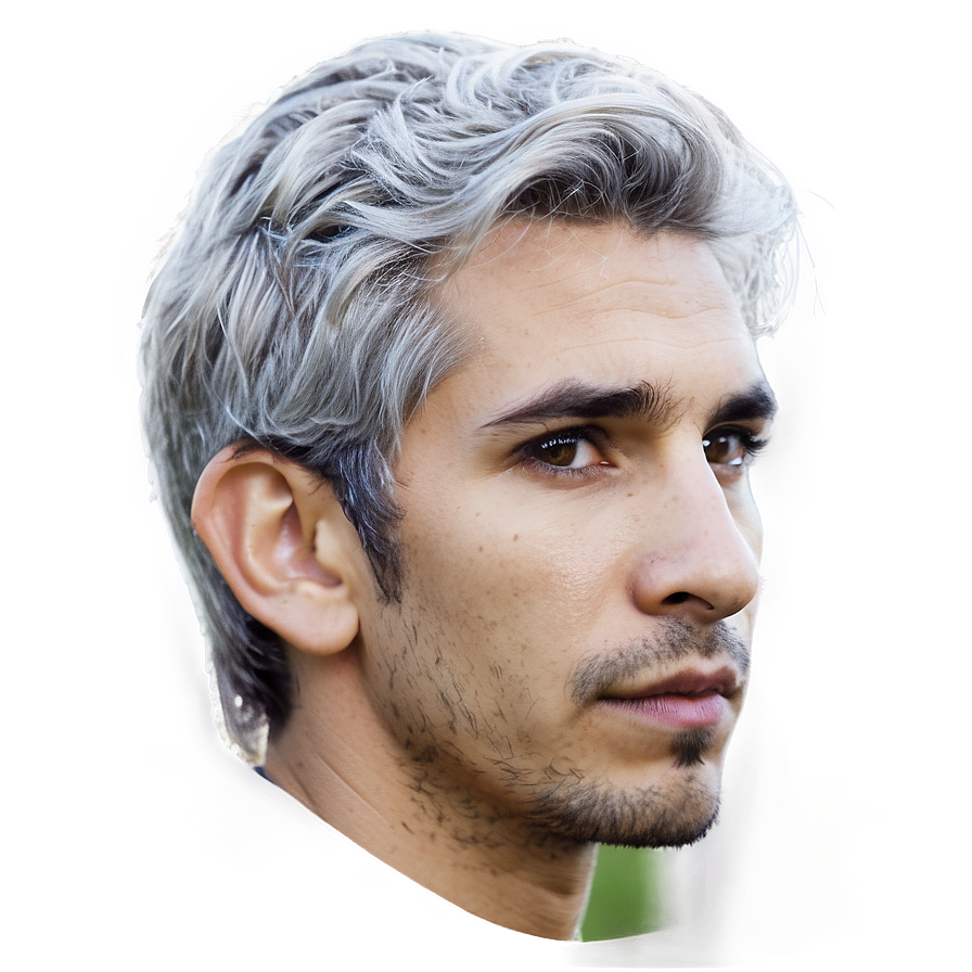 Grey Hair Style Png 81