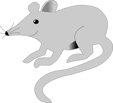 Grey Mouse Graphicon Black Background